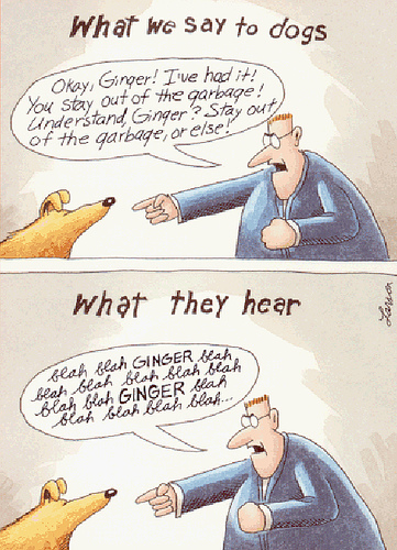 cartoonist gary larson. gary larson on keyword density