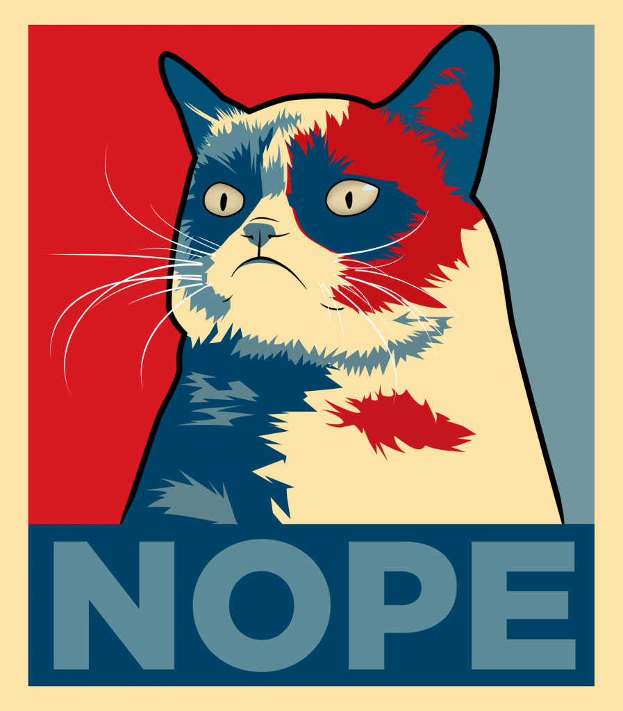 grumpy-cat-nope-897x1024.png