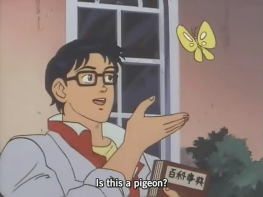 Is This A Pigeon?