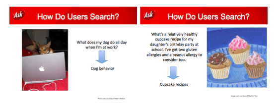 Carla Borsoi Search Behavior Presentation