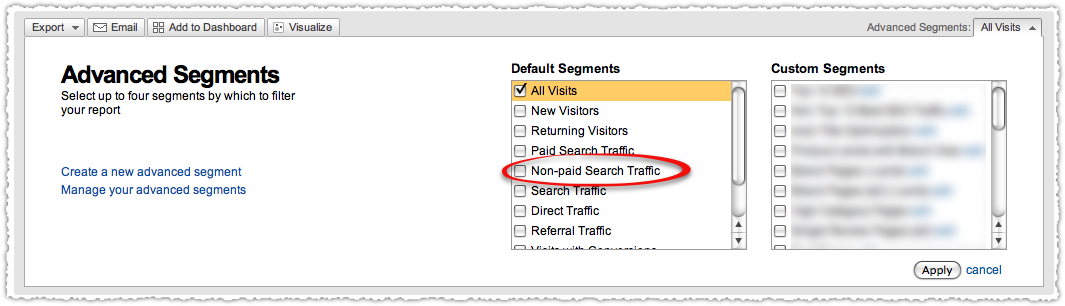 Non-paid Search Traffic Segment