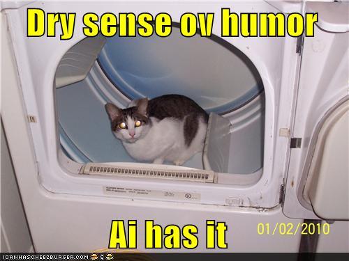 Cat in a Dryer LOLcat
