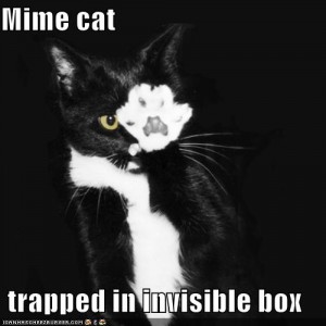 cat trapped in invisible box