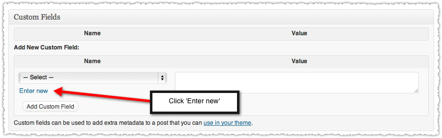 Enter a new Custom Field