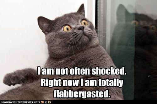 Totally Flabbergasted LOLcat