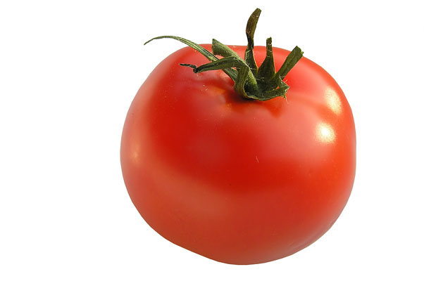 Tomato