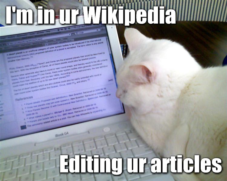 Cat Editing Wikipedia
