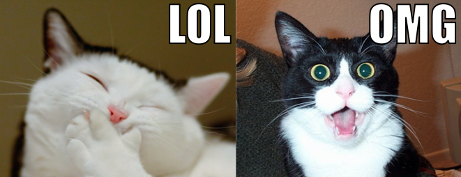 LOL Cat vs OMG Cat