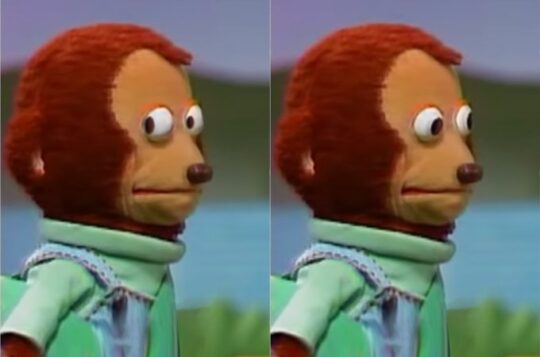 Side Eye Monkey Puppet