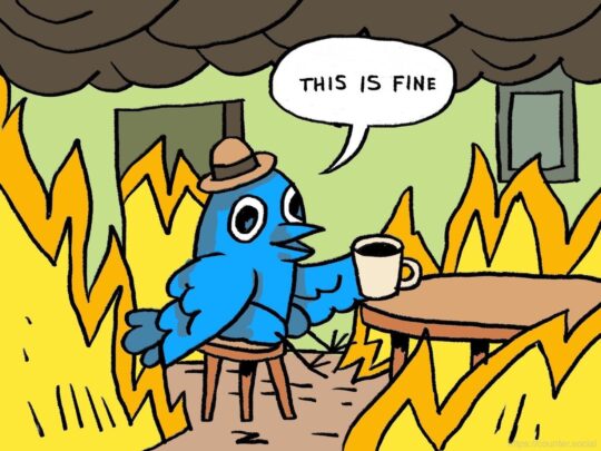 This is Fine Meme but with Twitter Bird instead of Dog