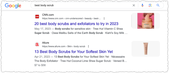 Google search results for best body scrub