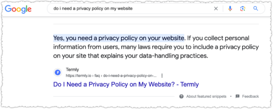 Featured Snippet for Do I Need A Privacy Policy on My Website